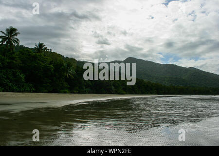 Plage de mangrove à Bloomfield Track dans le Nord du Queensland, la forêt tropicale de Daintree, Cape Tribulation, Australie Banque D'Images