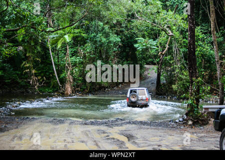 Bloomfield Track dans le Nord du Queensland, la forêt tropicale de Daintree, Cape Tribulation, Australie Banque D'Images