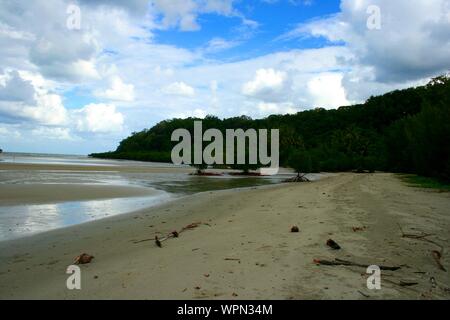 Plage de mangrove à Bloomfield Track dans le Nord du Queensland, la forêt tropicale de Daintree, Cape Tribulation, Australie Banque D'Images