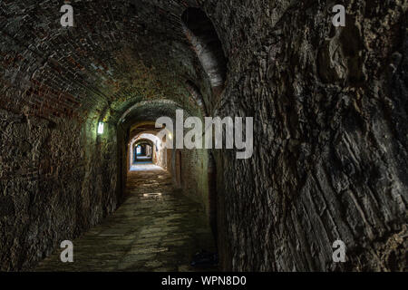 Allée de l'Arche, Colle Val dElsa. toscane, Italie Banque D'Images