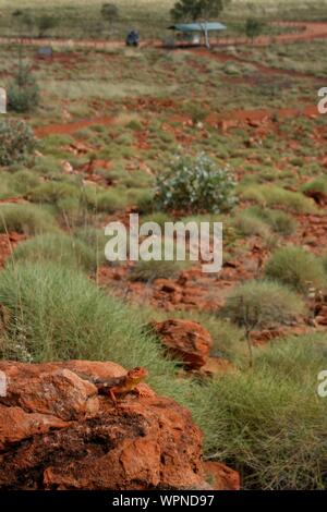 Cratère de météorite Wolfe Creek, dans l'ouest de l'Australie Banque D'Images