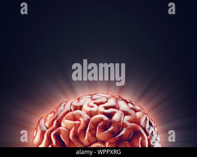 Illustration 3D réaliste du cerveau humain avec l'espace vide Banque D'Images