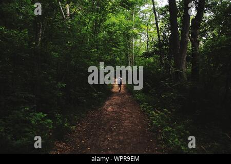 Vue arrière du sac à dos femme marche sur chemin de terre au milieu d'arbres en forêt