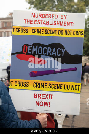 Londres, Royaume-Uni. Le 9 septembre 2019. Pro-Brexit placard illustré sur College Green demandant des Brexit maintenant et notant l'assassinat de la démocratie par l'établissement. Crédit : Joe Keurig / Alamy News Banque D'Images