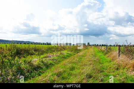 Envahis par les chemin entre deux paysages néerlandais dans l'Ooijpolder en Gueldre, Pays-Bas Banque D'Images