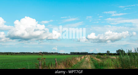 Envahis par les chemin entre deux paysages néerlandais dans l'Ooijpolder en Gueldre, Pays-Bas Banque D'Images