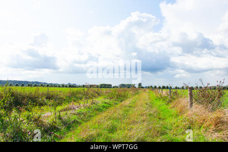 Envahis par les chemin entre deux paysages néerlandais dans l'Ooijpolder en Gueldre, Pays-Bas Banque D'Images