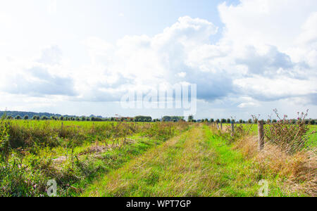 Envahis par les chemin entre deux paysages néerlandais dans l'Ooijpolder en Gueldre, Pays-Bas Banque D'Images