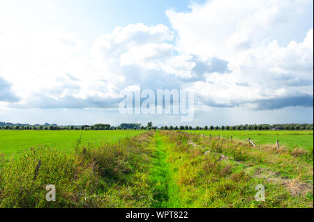 Envahis par les chemin entre deux paysages néerlandais dans l'Ooijpolder en Gueldre, Pays-Bas Banque D'Images