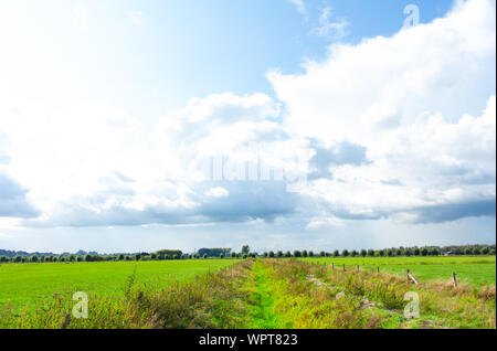 Envahis par les chemin entre deux paysages néerlandais dans l'Ooijpolder en Gueldre, Pays-Bas Banque D'Images