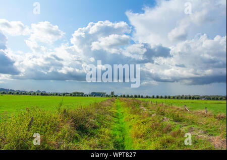 Envahis par les chemin entre deux paysages néerlandais dans l'Ooijpolder en Gueldre, Pays-Bas Banque D'Images