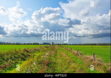 Envahis par les chemin entre deux paysages néerlandais dans l'Ooijpolder en Gueldre, Pays-Bas Banque D'Images
