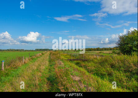 Envahis par les chemin entre deux paysages néerlandais dans l'Ooijpolder en Gueldre, Pays-Bas Banque D'Images