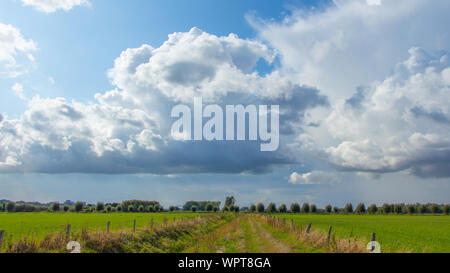 Envahis par les chemin entre deux paysages néerlandais dans l'Ooijpolder en Gueldre, Pays-Bas Banque D'Images