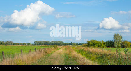 Envahis par les chemin entre deux paysages néerlandais dans l'Ooijpolder en Gueldre, Pays-Bas Banque D'Images