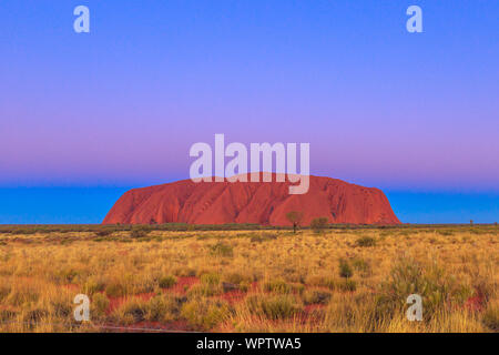 Les couleurs spectaculaires du Parc National Uluru-Kata Tjuta - un paysage culturel vivant en Australie, Territoire du Nord. L'Uluru ou Ayers Rock après Banque D'Images