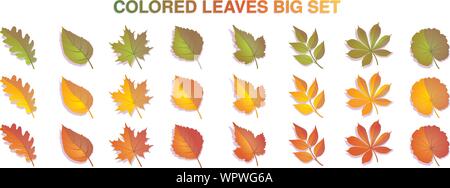 Les feuilles d'automne grand ensemble coloré. Jaune, rouge. Vert feuilles isolé sur fond blanc. Vector illustration. Illustration de Vecteur