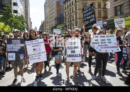 Les droits des animaux officielle le 24 août, Mars 2019 rempli à la Broadway Flatiron Building et marchaient à Tompkins Square Park à New York. Il a appelé à la protection de tous les animaux et à 'aussi' Devenez-le pour le bien de la planète. Banque D'Images