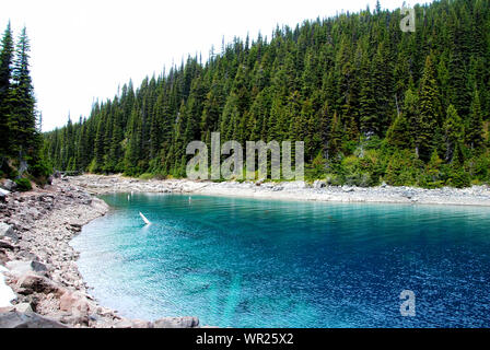 Superbe et dynamique et le bleu turquoise du lac Garibaldi, avec la forêt de conifères, sur les sentiers dans le parc provincial Garibaldi, British Columbia, Canada Banque D'Images