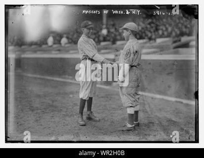 Mascottes de New York et Washington AL AL (baseball) Banque D'Images