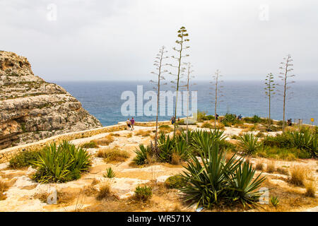 Côte sud de Malte, côte escarpée, Grotte Bleue, près de Zurrieq, Banque D'Images