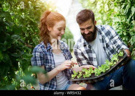 Deux jeunes femmes travaillant dans les serres et planter des graines. Banque D'Images