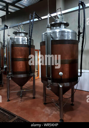 Cuve de fermentation de la bière au chien et Fig Brewery, Parys, Afrique du Sud Banque D'Images