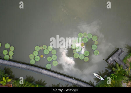 Vue aérienne d'un étang en Asie avec des lotus, une passerelle surélevée au-dessus de l'eau et des reflets du ciel Banque D'Images