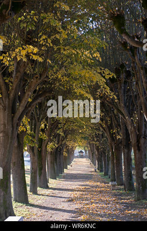 Allée tranquille Banque D'Images