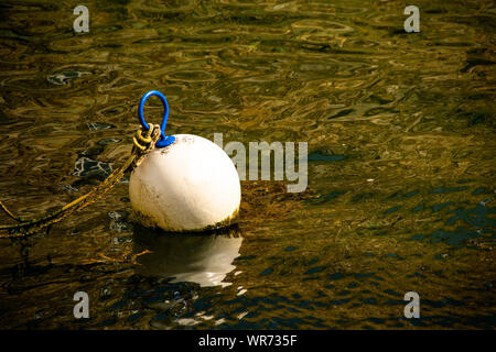 Bouée flottant sur l'eau vert sombre sombre Banque D'Images