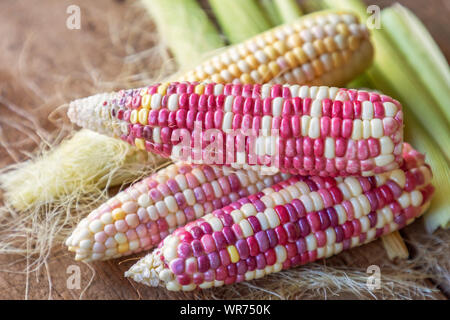 De petits épis de maïs cireux colorés avec de la soie, des feuilles de maïs sur fond de table en bois pour aliments et boissons. Banque D'Images