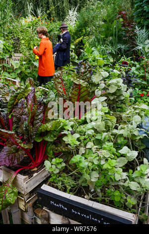 Les plantes et les hommes, exposition en plein air à Vincennes, Vincennes, Val-de-Marne, Île-de-France, France Banque D'Images