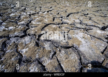 Dry Lake bed avec texture naturelle de l'argile fissurée en perspective. Domaine de la vallée de la mort .. Selective focus sur le sol noir dark land. Idée Banque D'Images