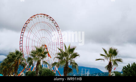 Palmier vert avec grande roue de Ferris et le ciel. Batumi, Géorgie Banque D'Images
