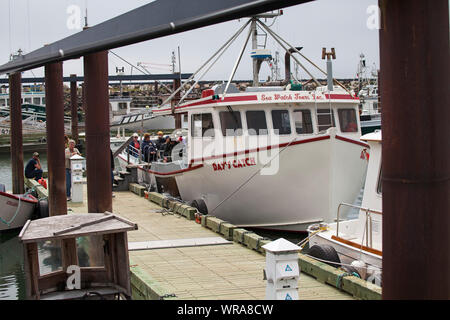 Les bateaux de pêche dans la région de Seal Cove Harbour de l'île Grand Manan, Nouveau-Brunswick Canada Août 2016 Banque D'Images