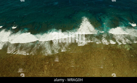 Seascape : blue ocean surf et vagues se brisant sur la barrière de corail vue d'en haut. L'été et les vacances Banque D'Images