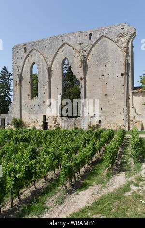 Ville de Saint-Emilion, France. Vue pittoresque du Chateau Les Grandes Murailles avec les Grandes Murailles (La Grande Muraille) dans l'arrière-plan. Banque D'Images