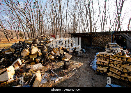 Des piles de bois de chauffage à l'extérieur de maison. Proselochny cordon. Lazovsky, réserve naturelle de montagnes Sikhote-Alin. Primorsky Krai. La Russie, l'Asie Banque D'Images