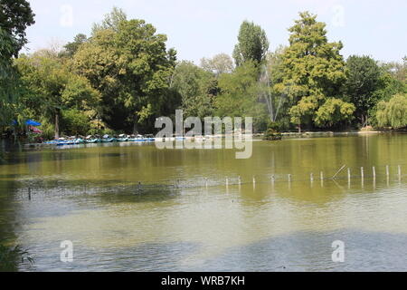 Le plus ancien parc, parc Cismigiu Banque D'Images