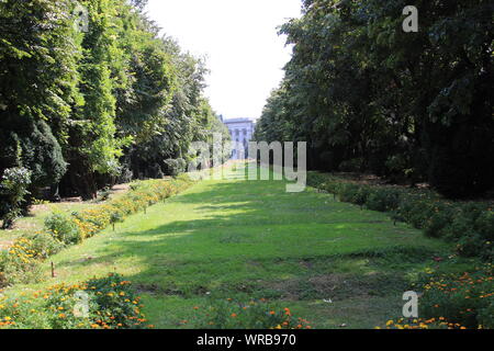 Le plus ancien parc, parc Cismigiu Banque D'Images