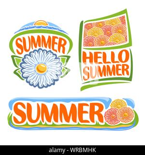 Logo vectoriel pour l'été : Fleurs de camomille, icône du lever de soleil sur la mer, l'horizon du ciel avec pavillon floral background de fleur de chrysanthème, titre été hello Illustration de Vecteur