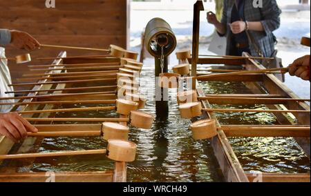 Temizuja - réservoir d'eau pour rituel de se laver les mains et la bouche avant d'entrer dans le sanctuaire de Meiji Jingu - le plus grand et le plus célèbre sanctuaire shinto Banque D'Images