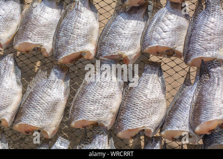 L'Oreochromis niloticus sur net pour la vente. Banque D'Images