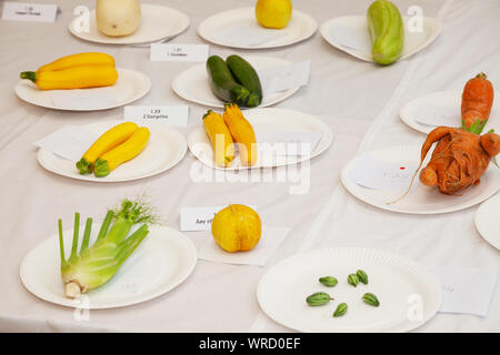 Les entrées dans le village de légumes et de fleurs Kinghorn show, Fife en Écosse. Banque D'Images