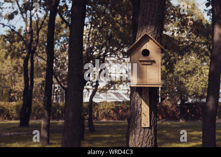 Cute wooden birdhouse vide dans le parc. Maison faits à la main pour les oiseaux dans les arbres. Accueil d'un moineau. Banque D'Images