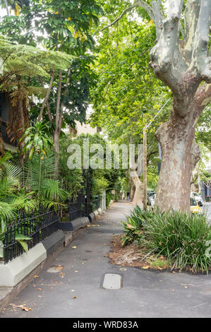 Les rues verdoyantes de Surry Hills, une ville, banlieue est de Sydney en Nouvelle Galles du Sud, Australie Banque D'Images