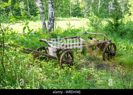 Ancien panier en bois détruits se dresse au milieu de la forêt Banque D'Images