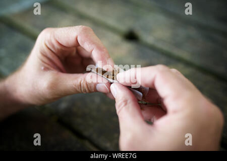 Les mains d'un homme roulant une cigarette Banque D'Images