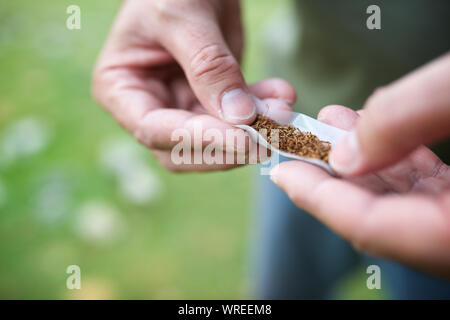 Les mains d'un homme roulant une cigarette Banque D'Images