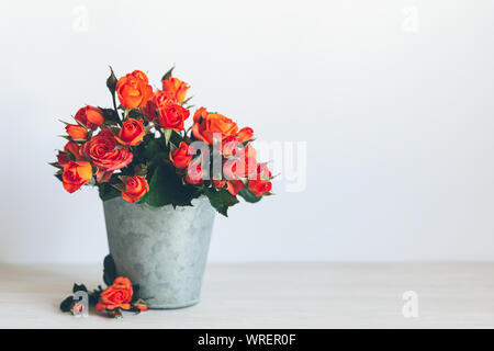 Bouquet romantique de roses lumineux dans un pot. Roses orange rouge. Arrière-plan ou carte postale. Place pour le texte. Banque D'Images